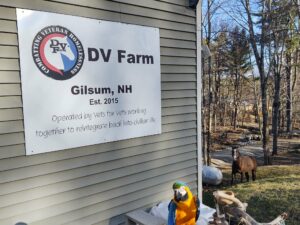 Outside of DV Farm office where there is a sign that says DV Farm, Gilsum New Hampshire and Operated by vets for vets working together to reintegrate back into civilian life. Ashe the horse is in the background and Gabby Sue the Macaw sits almost center and bottom of the image.